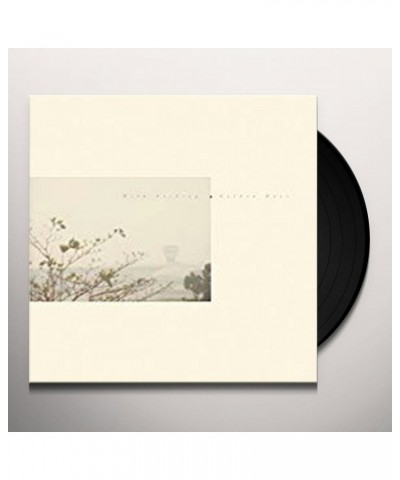 Wild Nothing GOLDEN HAZE (CT10 EDITION) Vinyl Record $8.15 Vinyl