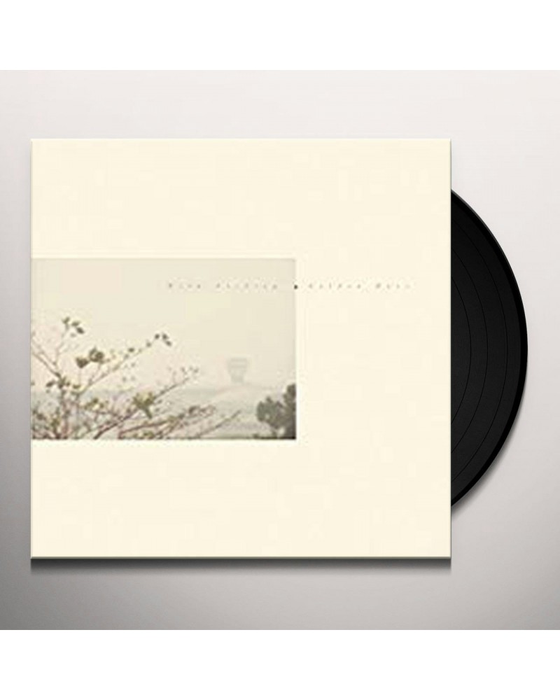 Wild Nothing GOLDEN HAZE (CT10 EDITION) Vinyl Record $8.15 Vinyl