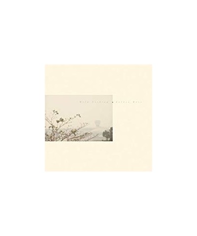 Wild Nothing GOLDEN HAZE (CT10 EDITION) Vinyl Record $8.15 Vinyl