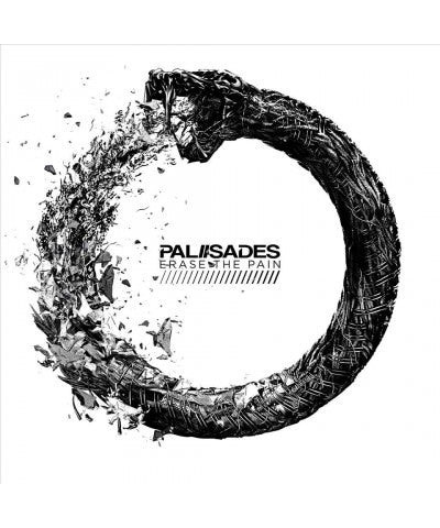 Palisades Erase The Pain Vinyl Record $6.48 Vinyl