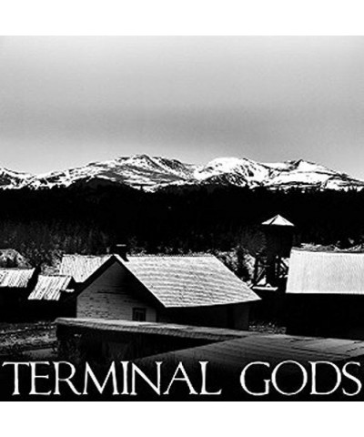 Terminal Gods BOUNDLESS B/W DRIVING HOME FOR CHRISTMAS Vinyl Record $5.39 Vinyl