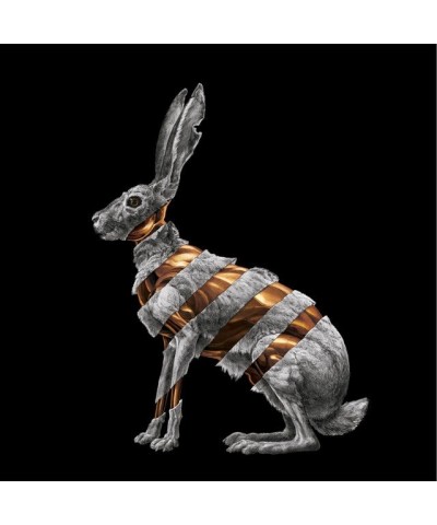 San Fermin Jackrabbit Vinyl Record $10.89 Vinyl