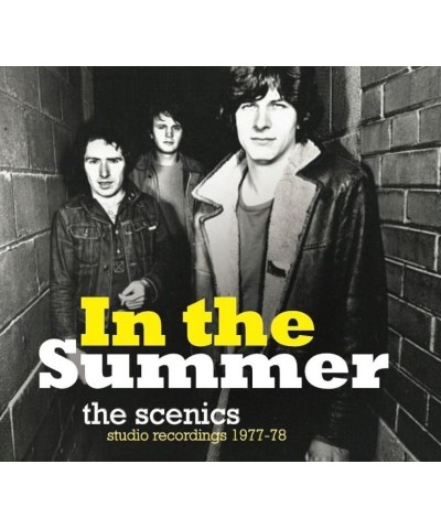 The Scenics IN THE SUMMER: STUDIO RECORDINGS 1977/78 Vinyl Record $10.44 Vinyl