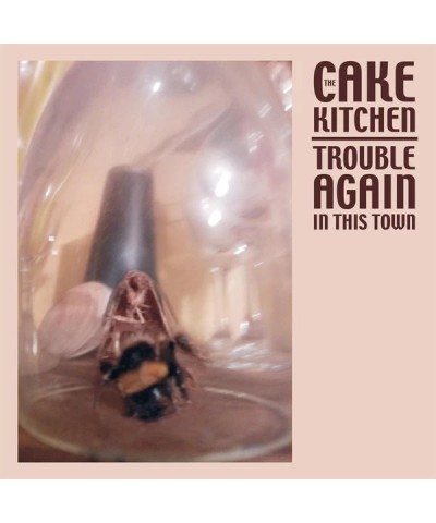 The Cakekitchen Trouble Again in This Town Vinyl Record $8.93 Vinyl